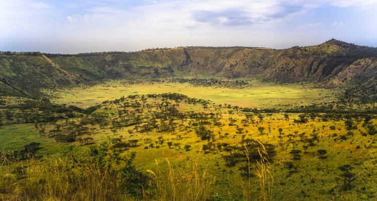 12-Day Trip Including Gorilla Trekking, Big 5 and Nature Sighting - Home to Africa 2