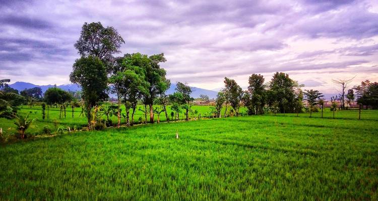 Exploration de Lombok - Tour East Indonesia 6