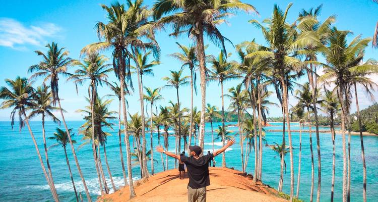 Person standing on a promontory with palms, overlooking the ocean.