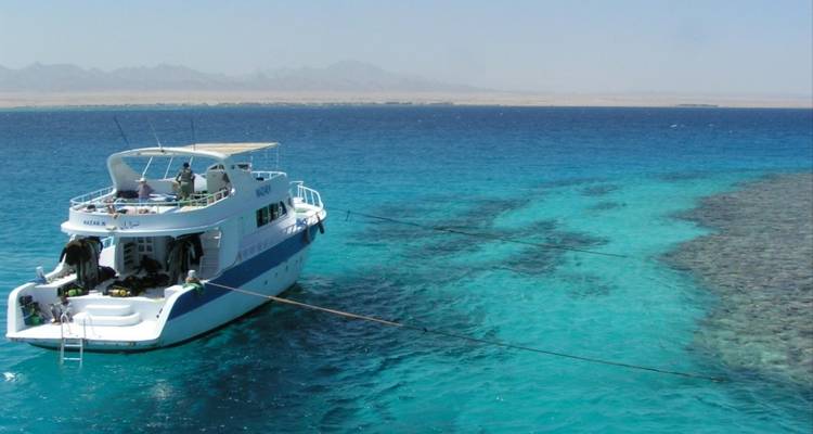 Merveilles de l'Égypte et de la Jordanie : découvrez Louxor, Sharm El Sheikh et Petra - Nilvison Egypt Tours  9