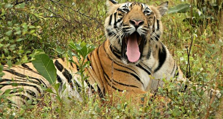 Increíbles Vacaciones en Familia en Nepal - 14 días - Glorious Himalaya Trekking Pvt. Ltd. 3