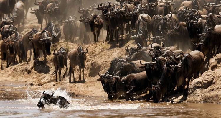 The Best 3 days Tanzania safari from Zanzibar with reasonable price - Africa Natural Tours 2