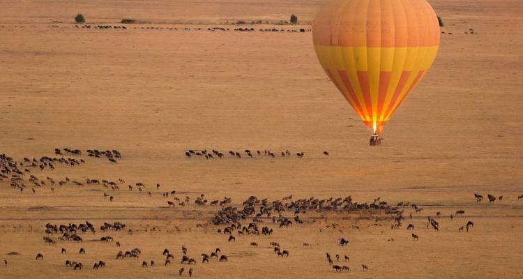 Safari de lujo de 4 días - Afrishare Trekking And Safaris 9