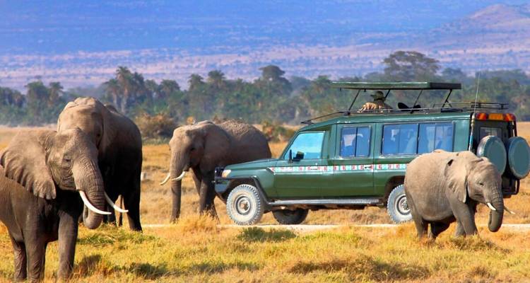 3 Days  Private Maasai Mara Sarova Luxury Safari With a 4x4 Land Cruiser Jeep - Gracepatt Ecotours Kenya 8