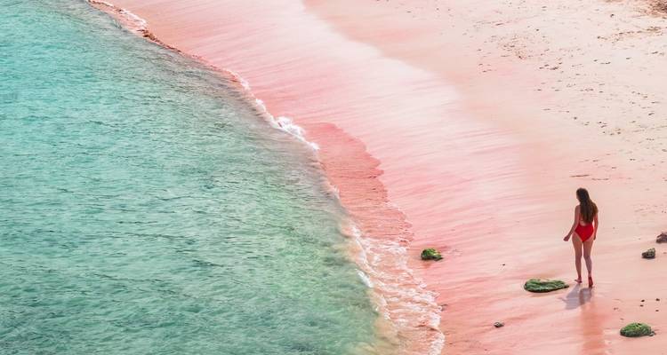Escapade à Bali - Wingbuddy 6
