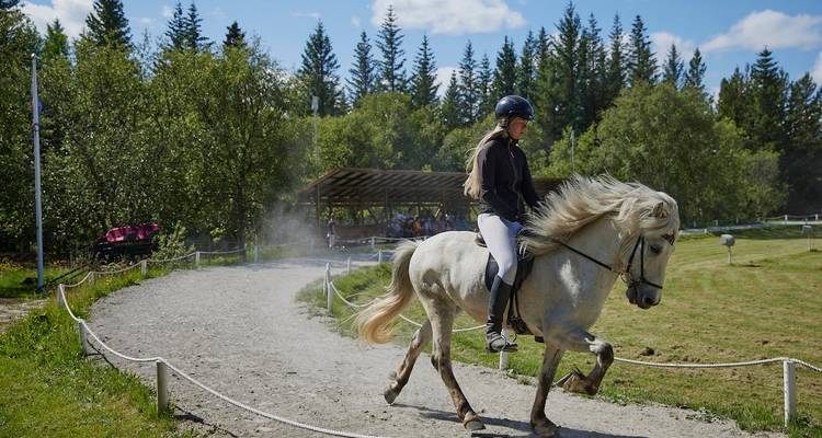 7 jours dans la gracieuse Islande du sud-ouest - GJ Travel 4