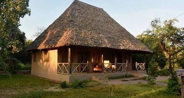 Auberge rustique aux toits de chaume entourée de verdure à la douce lumière du soir