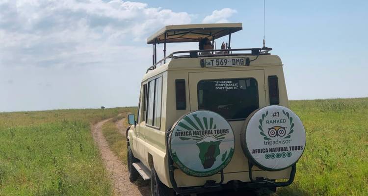 Ein Safari-Land-Cruiser fährt auf einer schmalen Erdpiste durch offenes Grasland unter blauem Himmel.