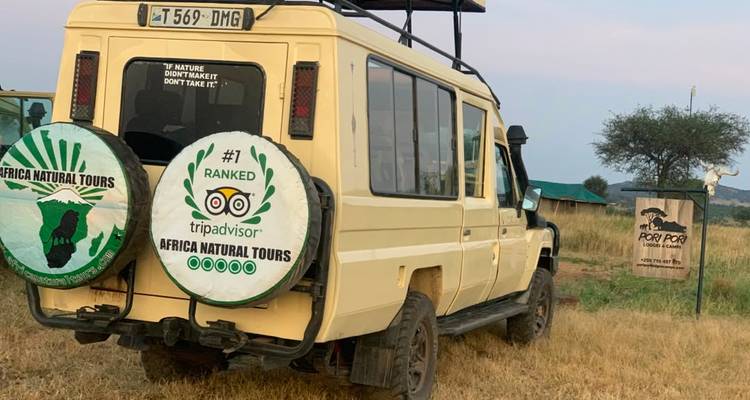 Safariauto neben einem hölzernen Wegweiser auf trockenem Savannengraß geparkt.