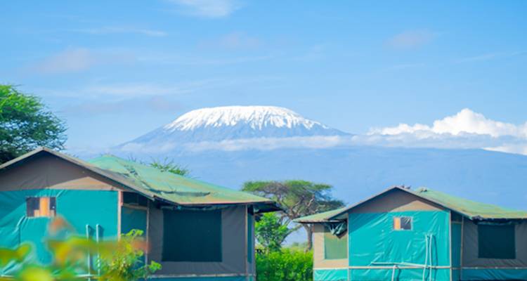 Le Mont Kilimandjaro aux pics enneigés s'élève au-delà de tentes de safari aux toits verts sous un ciel dégagé.