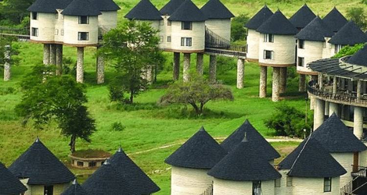 3 Days Saltlick And Tsavo West Luxury safari From Nairobi - Gracepatt Ecotours Kenya 1