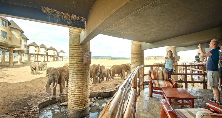 3 Days Saltlick And Tsavo West Luxury safari From Nairobi - Gracepatt Ecotours Kenya 3