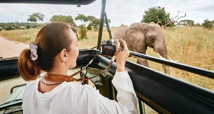 Femme photographiant un éléphant depuis un véhicule de safari.