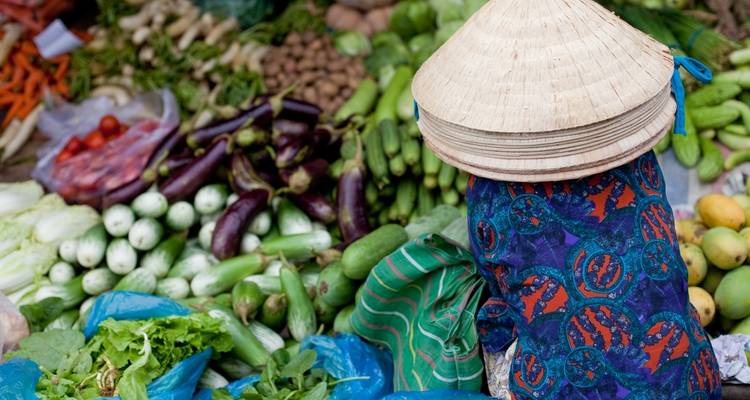 Cours de cuisine en petit groupe avec visite du marché : Cueillette gratuite, livre de recettes, vin à volonté et bien plus encore ! - Up Travel Vietnam 9