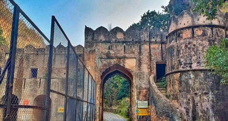 Desde Delhi: ¡¡¡Safari de Tigres de 3 días en Ranthambore!!! -  Taj Voyages Tours  6
