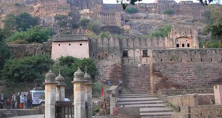 Desde Delhi: ¡¡¡Safari de Tigres de 3 días en Ranthambore!!! -  Taj Voyages Tours  7