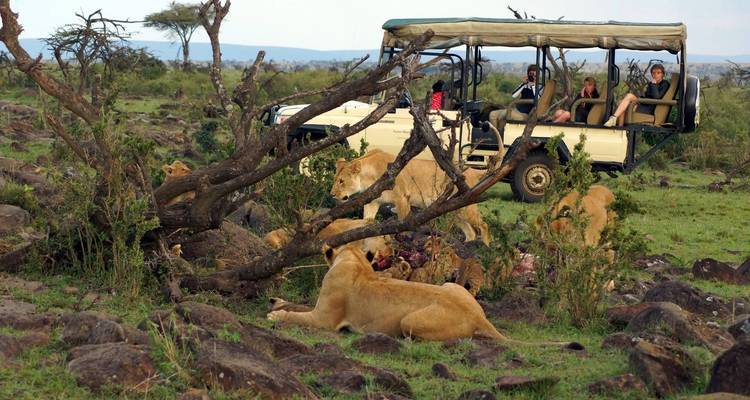 Paquete Exprés de 3 días Campamento Man Eaters Madaraka - Gracepatt Ecotours Kenya 1