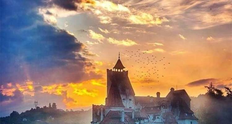 2-Day Private Tour in Romania including Peles Castle, Bran Castle, Cantacuzino Castle, Brasov and Bears Sanctuary - Transylvania Discovery Tours 6