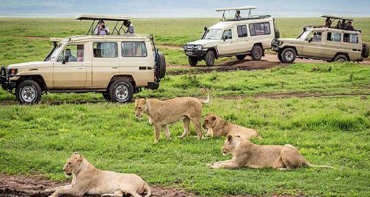 Safari de 8 días por Kenia - Africa Natural Tours 4