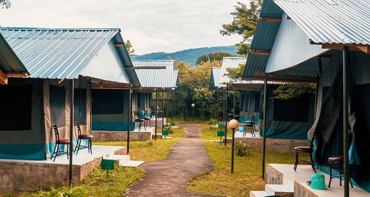 A row of camping tents in a park-like setting.