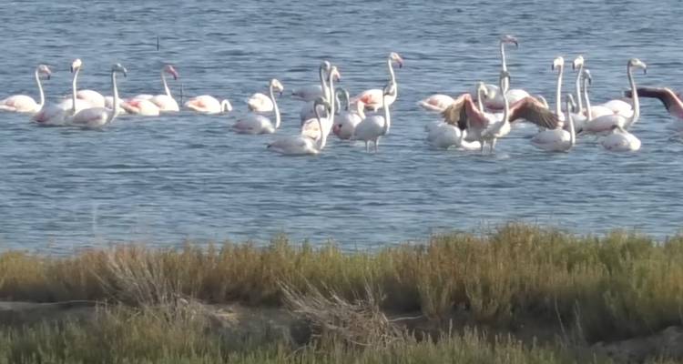 Circuito de un día al Parque de Apolonia, la Laguna de Narta y Vlore desde Tirana y Durres - SEE Trips 4