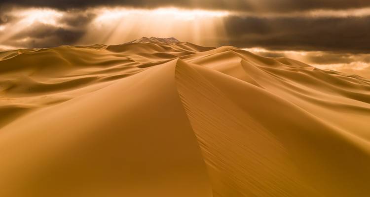 Zandduinen in de woestijn met dramatische belichting.