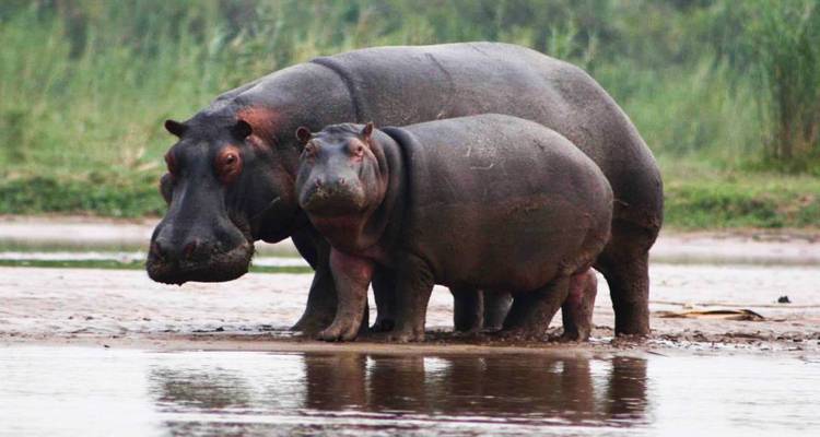 3 Days Burundi Adventure Safari Itinerary - Ovacado Adventures 2