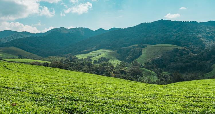3 Days Burundi Adventure Safari Itinerary - Ovacado Adventures 3