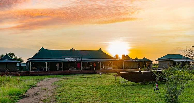 A tented safari camp is bathed in warm sunrise light over a green savannah clearing.