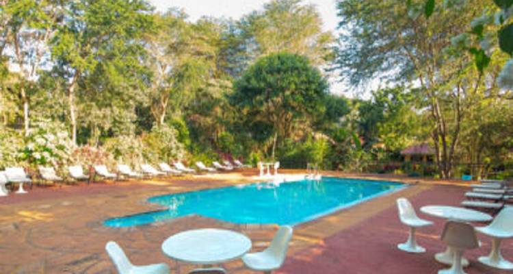 Best 7 days Tanzania Safari from Zanzibar with Reasonable Price. - Africa Natural Tours 1