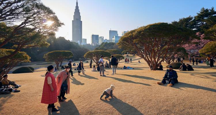 Découvrez le Japon : Terre de tradition et d'innovation - Apochi BV 6