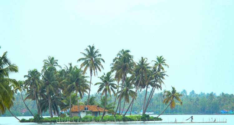 Kerala Backwaters and Ayurveda Tour - GoBook India Tours 1