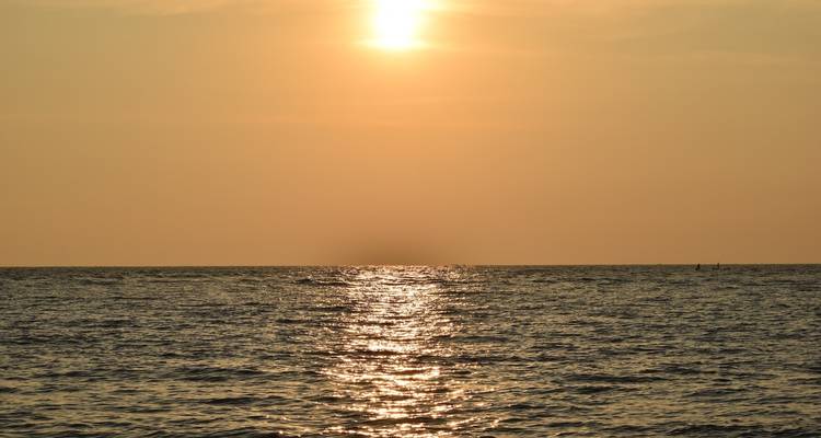Kerala Backwaters and Ayurveda Tour - GoBook India Tours 3
