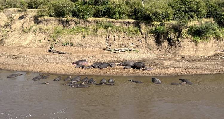 Sanctuaire de Ngutuni, Taita Hills, Amboseli, Tsavo West et East Safari - Mombasa - 7 jours - Gracepatt Ecotours Kenya 10