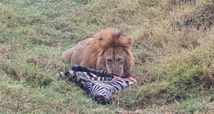 10-DAY BEST EXPRIENCE KENYA SAFARI - Hazzes Adventure 6