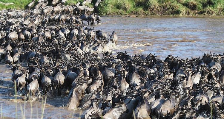 10-DAY BEST EXPRIENCE KENYA SAFARI - Hazzes Adventure 7