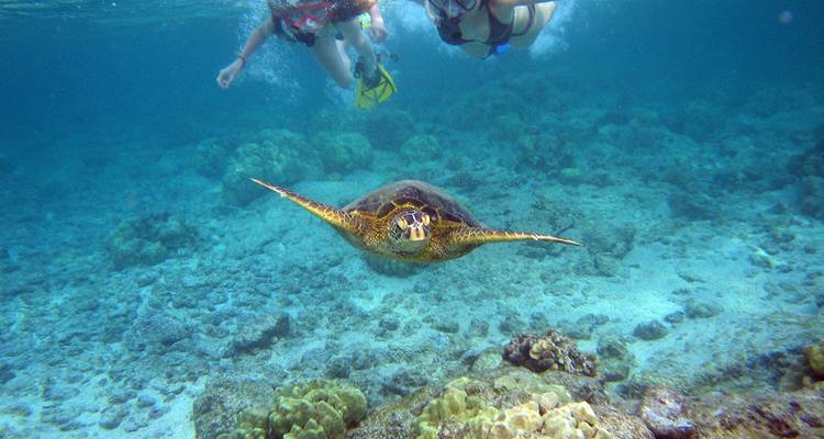 WONDERS OF OMAN TOUR PACKAGE - Tweet World Travel 8