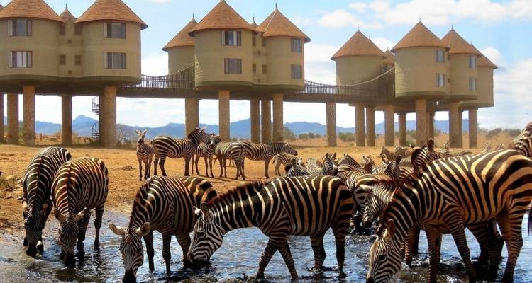 3 jours au Parc national de Tsavo Est et au Sanctuaire des collines de Taita - Gracepatt Ecotours Kenya 3
