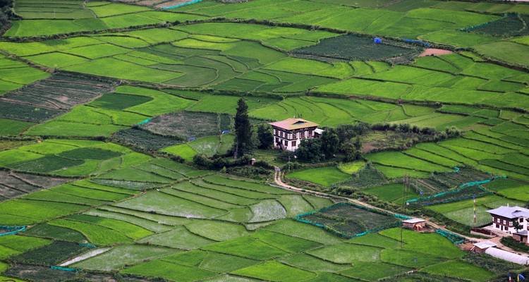 Forfait voyage de 6 jours au Bhoutan - Ramble Advisor 3