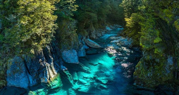 Premium New Zealand Encompassed (36 destinations) - Intrepid Premium 10