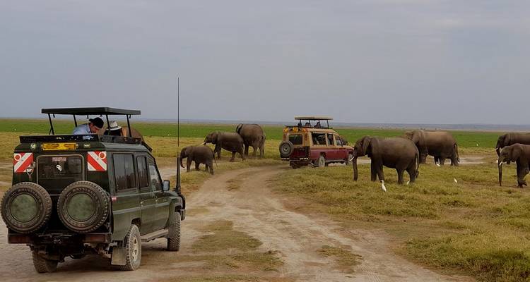 Circuito en grupo de 8 días a Samburu, Sweetwaters y Maasai Mara - Gama media - Gracepatt Ecotours Kenya 3