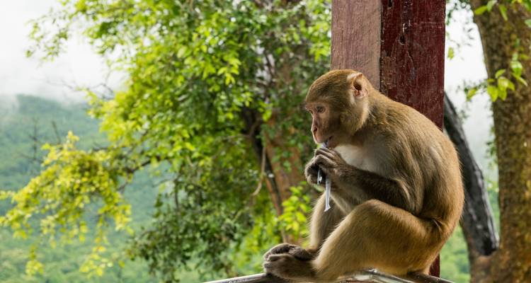Aventura privada en Tailandia: 6 días de diversión - ToBadaa 3