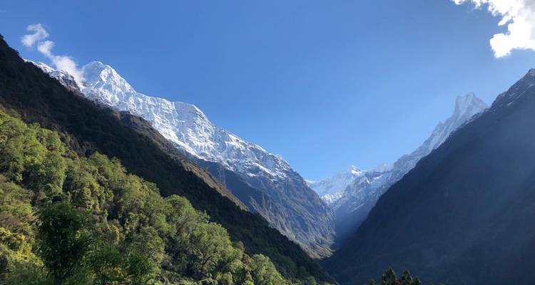 Ein Blick auf schneebedeckte Berge mit einem üppig grünen Tal.