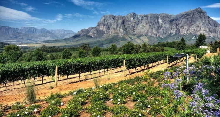Les incontournables de l'Afrique du Sud (itinéraire Hermanus) - Explore! 4