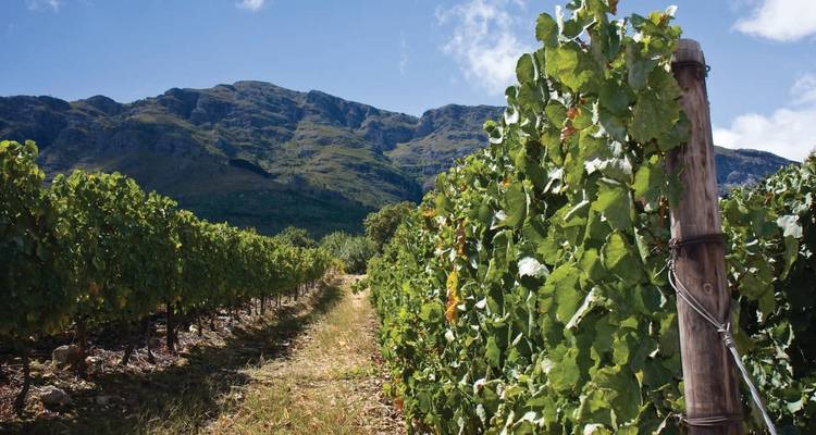 Les incontournables de l'Afrique du Sud (itinéraire Hermanus) - Explore! 2