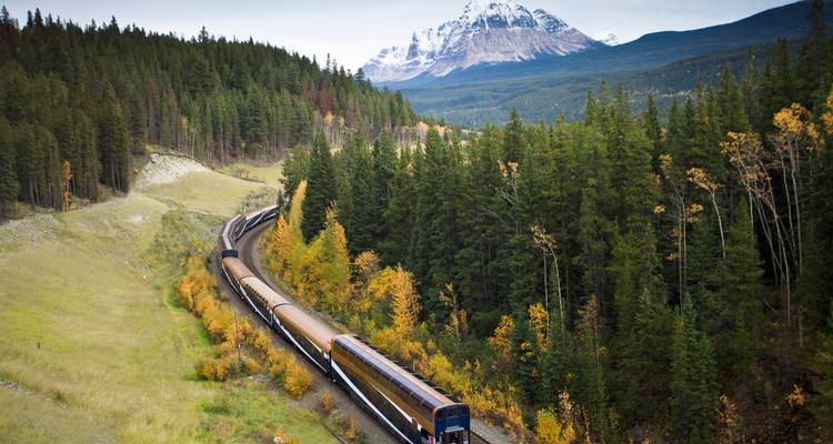 Train traversant une forêt dense avec des montagnes en arrière-plan.