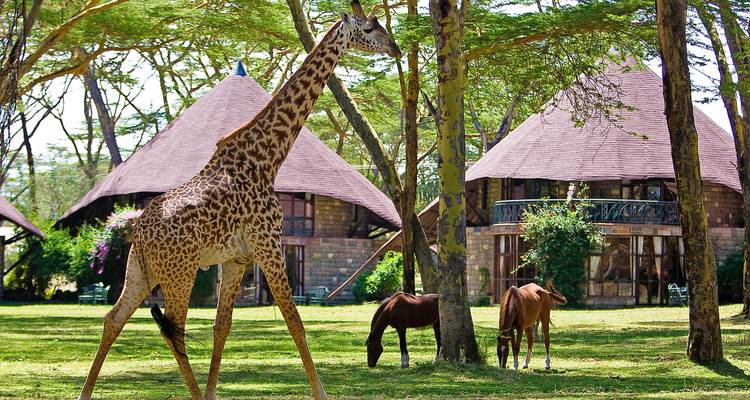 Giraffe walking near uniquely shaped buildings, accompanied by smaller animals.