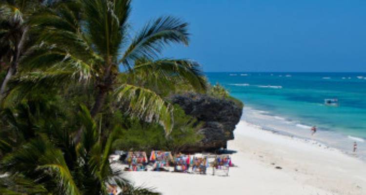 Tropical beach with palm trees, sunbathers, and turquoise waters.