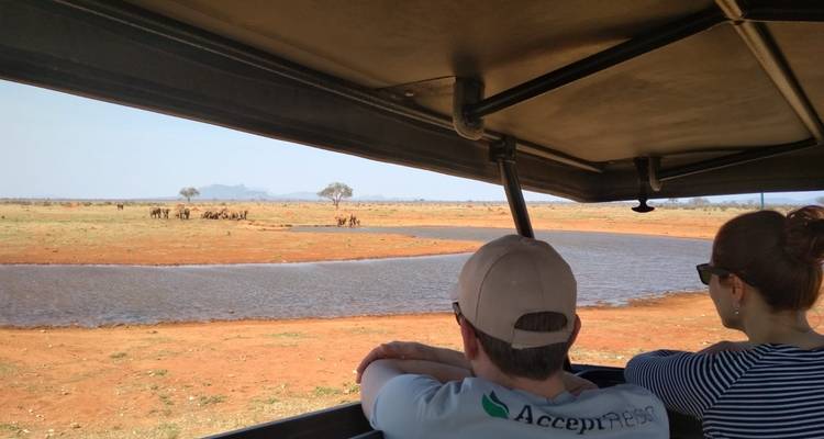 Safari y natación Kenia Tembo - Accept Reisen 8