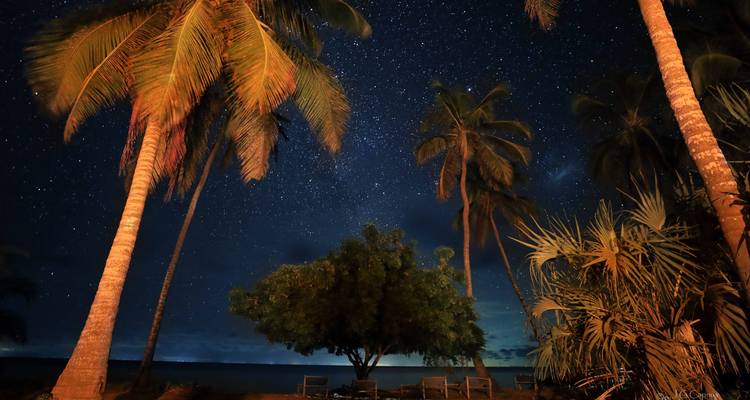 Palmbomen en een sterrenhemel bij de oceaan